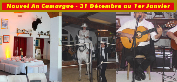 Nouvel An Camargue - 2 Jours 