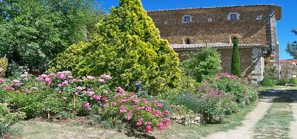 Abbaye de Valsaintes & ses Roses 